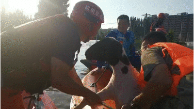 逐户搜救通州消防和通州蓝天救援队奋战河南灾区已营救转移数百受灾