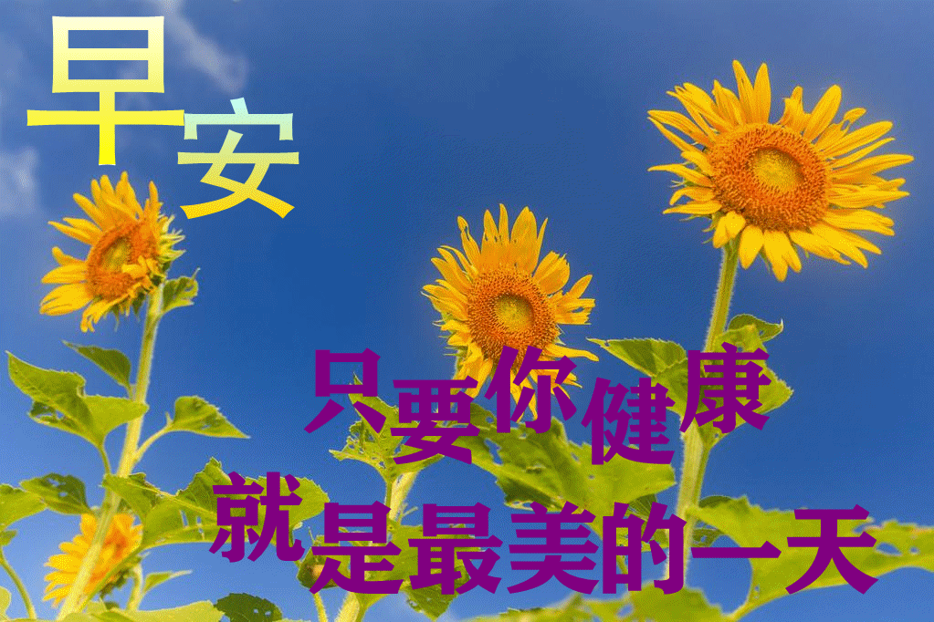 早上好朋友,全新版早安问候动态图带字 夏天最美早安