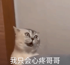 微信可爱沙雕表情包|大师 我悟了