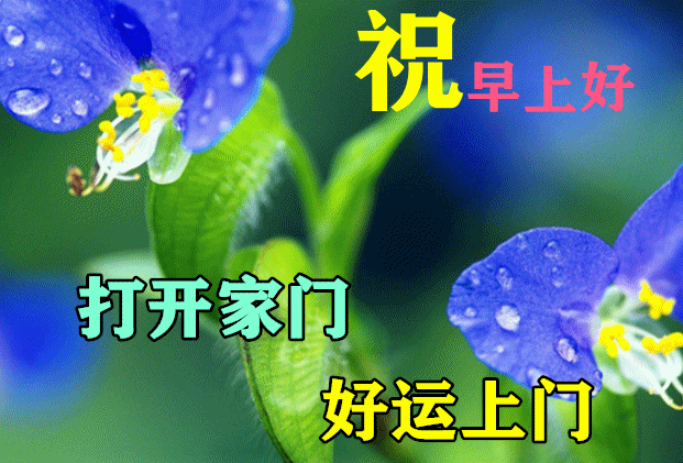 8月第一天,最漂亮早上好动态表情图片大全 正能量励志心语一句话