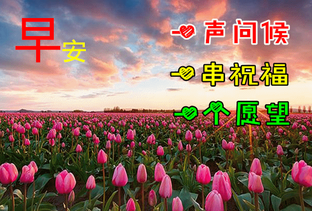 11月13日周六早安:带着阳光出发!