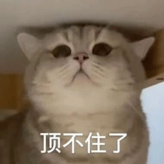 聊天表情包动图顶不住了