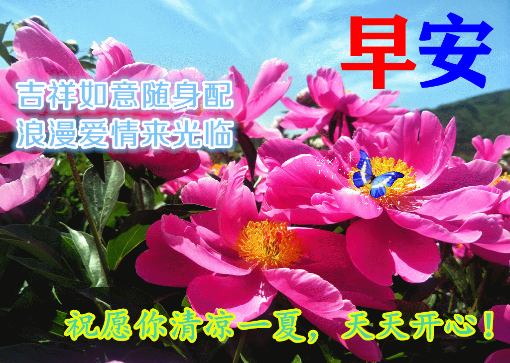 8月4日最新早上好动态表情图片大全,三伏天早上好问候