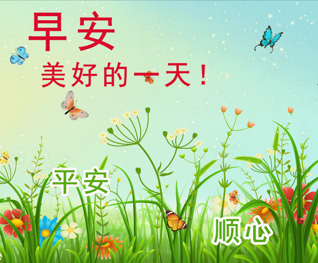 2021暖心早安动态美图早上温馨问候语,新的一天,遇见