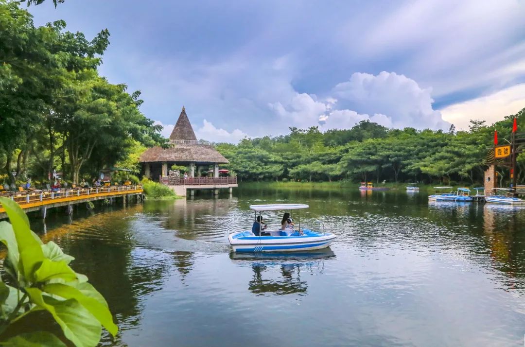 兴隆咖啡谷,海南五椰级乡村旅游点,集咖啡种植,咖啡产品深加工及营销