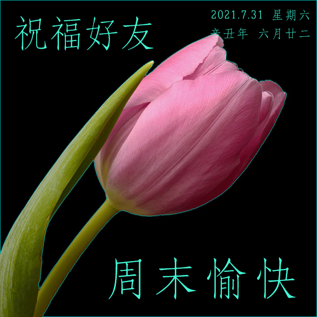 周末愉快图片带字2021 周末早安问候语录