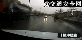 小朋友过马路之前要观察观察再观察5.