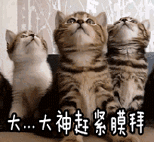 天马行空的斜杠少女向诺奖科学家提了个事关生命起源的问题
