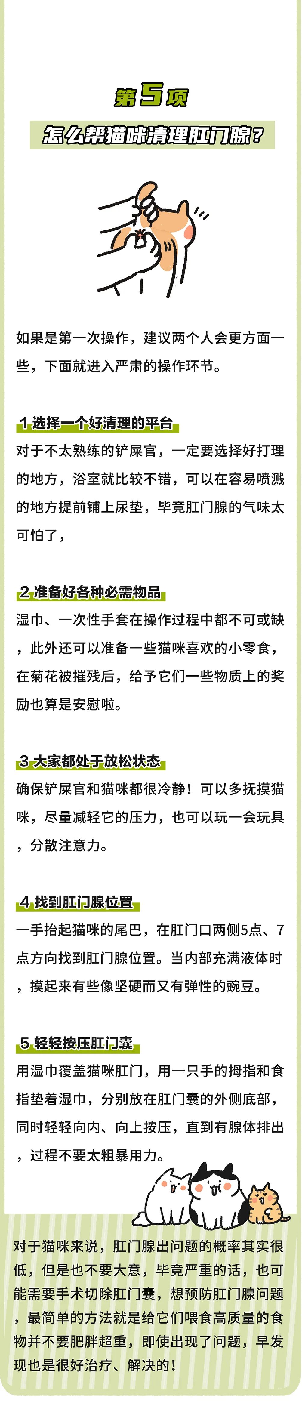 一张图说清猫到底要不要清理肛门腺?怎么操作?