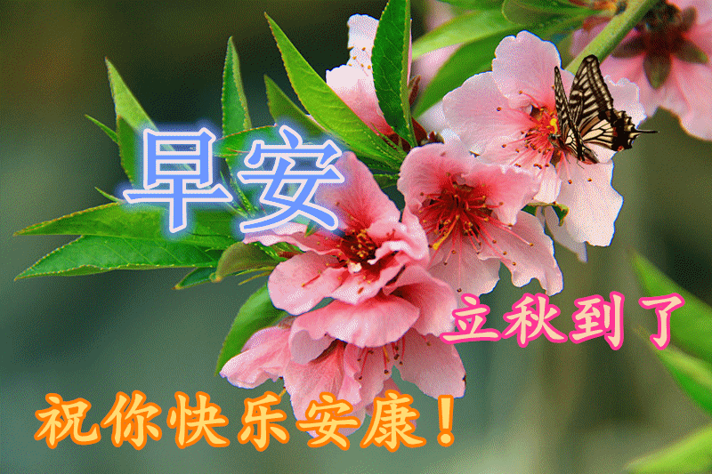 2021年8月7日最新立秋表情图片大全立秋祝福动态图片问候语