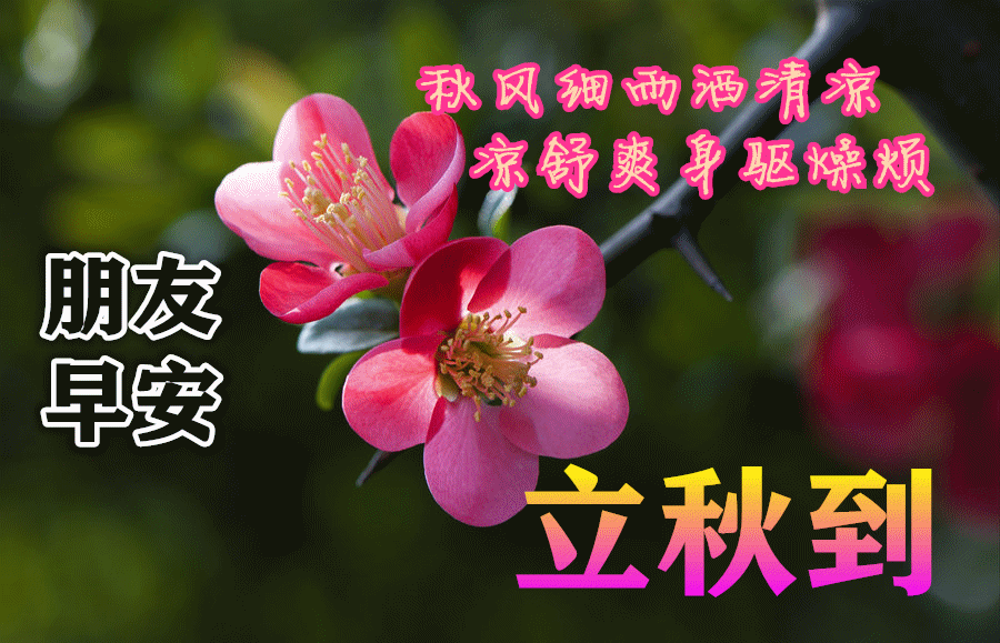 2021年8月7日最新立秋表情图片大全,立秋祝福动态图片问候语