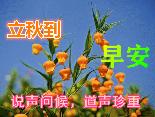 2021年8月7日最新立秋表情图片大全立秋祝福动态图片问候语