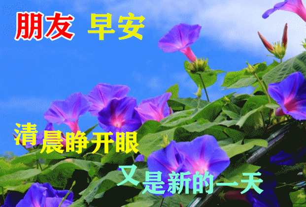 早上好朋友,最美早安问候祝福语加动态漂亮图片,祝你!