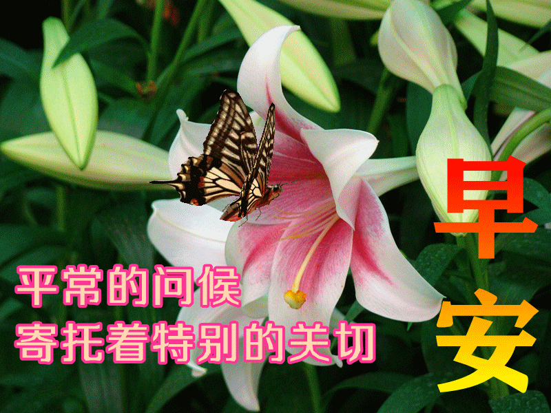 9月13日最新早上好动态表情图片大全,早上好问候语!