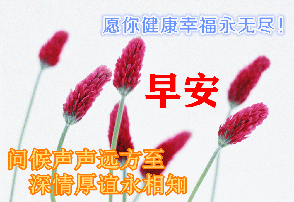 9月13日最新早上好动态表情图片大全早上好问候语句子