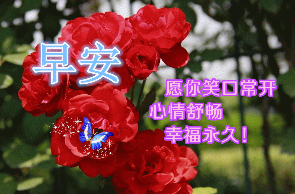 9月13日最新早上好动态表情图片大全,早上好问候语句子!