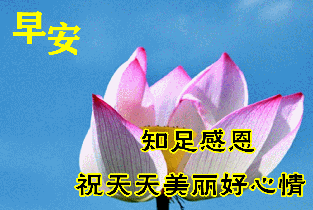 祝你早安午安晚安一生平安!