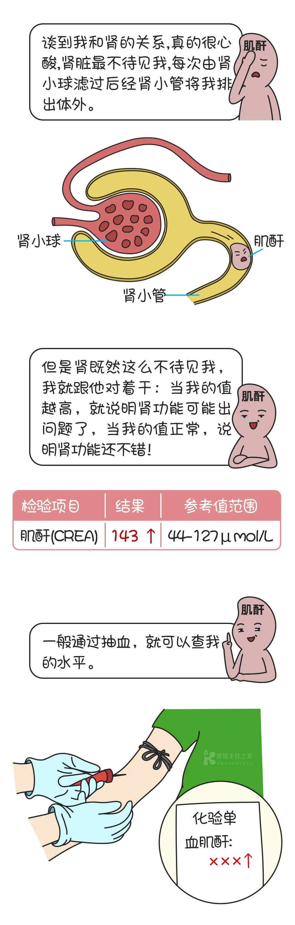 发现肌酐升高千万别大意小心