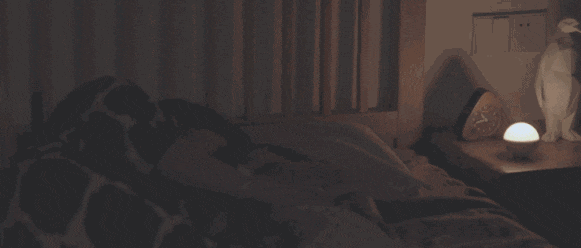 如果你长期喜欢开灯睡觉,或小夜灯睡觉,那当你还在为控制体重而努力