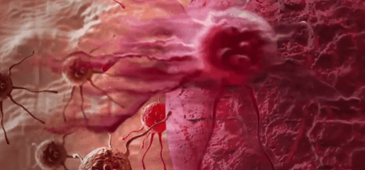 乳酸菌(一种有益微生物)的好处