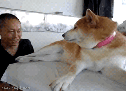 开心一下|当我听到讨厌的人在讲笑话的时候