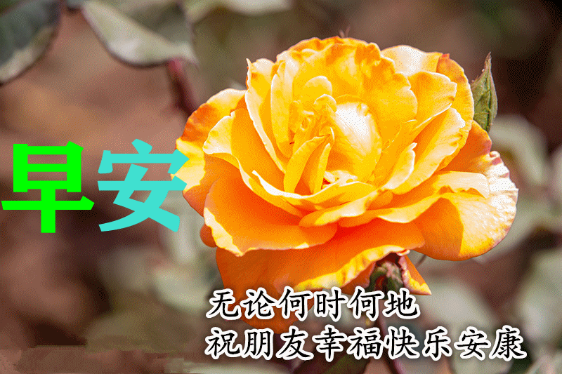 早上好朋友早上好朋友阳光的早安问候祝福语图片新版早上好祝福图片带