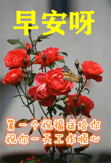 2021创意好看的秋日早安问候祝福动态图片表情带字温馨