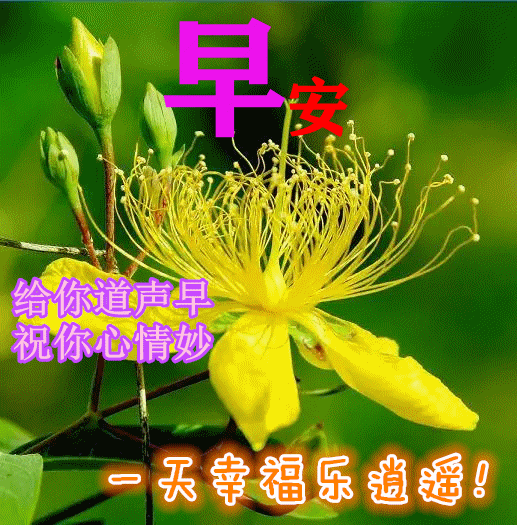 2021创意好看的秋日早安问候祝福动态图片表情带字温馨