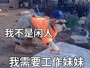 可爱沙雕表情包精神小狗表情包