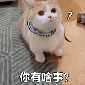 可爱猫猫狗狗表情包