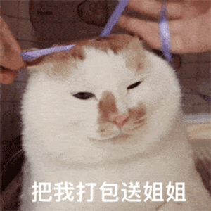 可爱猫猫狗狗表情包