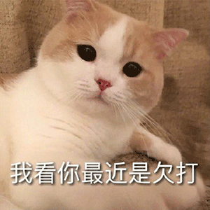 可爱猫猫狗狗表情包