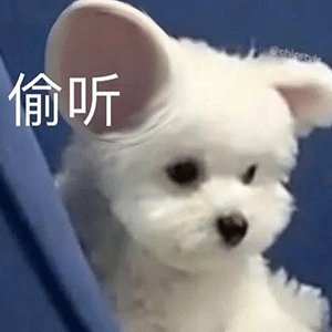 可爱猫猫狗狗表情包