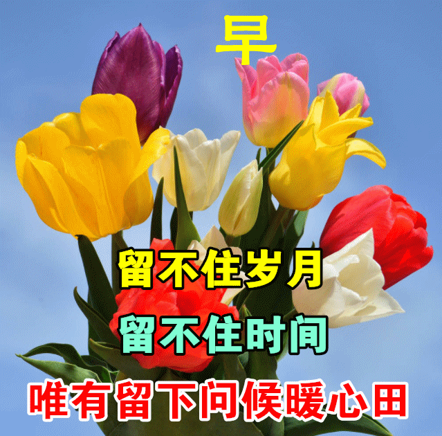 早上好朋友,最新早上好祝福动态图片,最美早安问候语