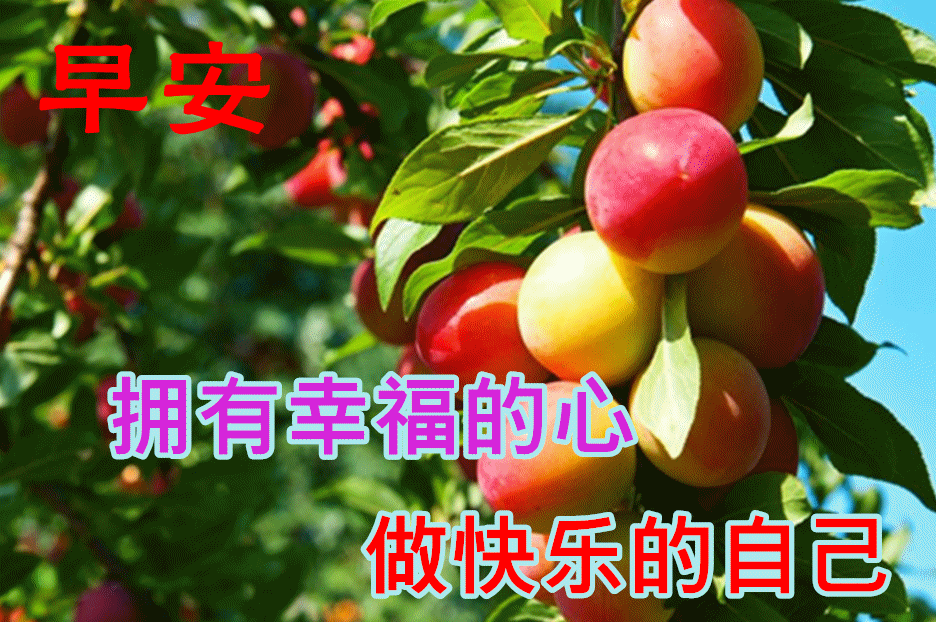 2021年最新早上好免打字图片祝福语,暖心的早上好问候