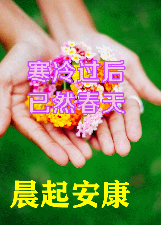 8月25日漂亮早上好动态图片表情大全非常时期早晨好美图大全