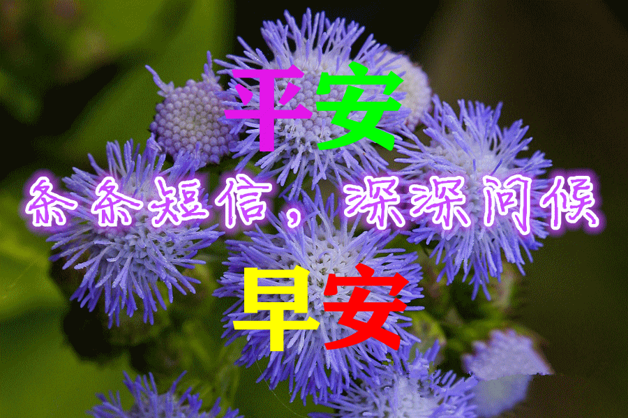 8月25日漂亮早上好动态图片表情大全,非常时期早晨好