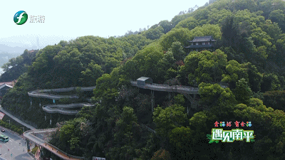 全福游遇见南平丨延平这处草木青葱的九峰山带你一秒从城市回归山林