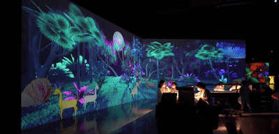 通过该教具可展示3d虚拟模型,在全息视频素材中添加了音频讲解,模型