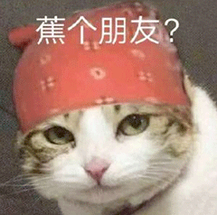 打招呼表情包