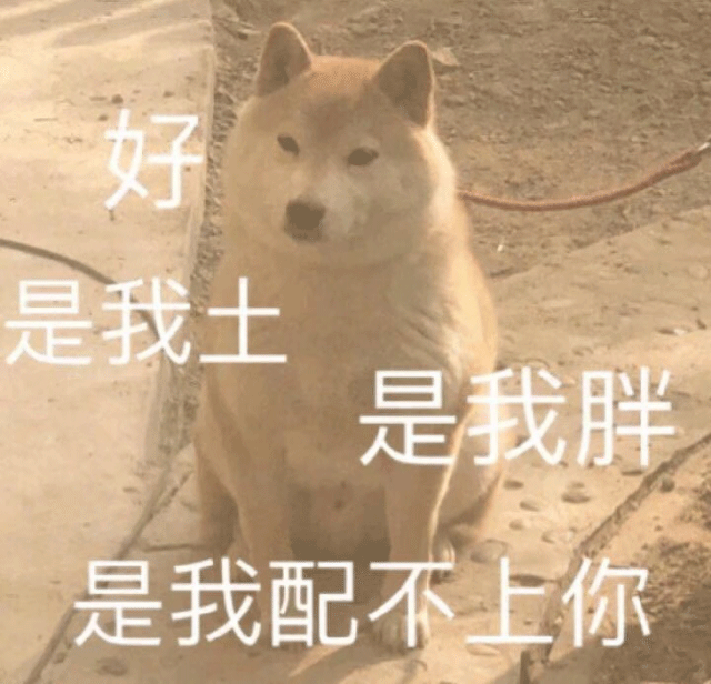 189丨每日精选沙雕图片表情包