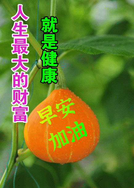 在这个人还没有出现之前,你学会要为了这个人,自己好好爱自己!早安!