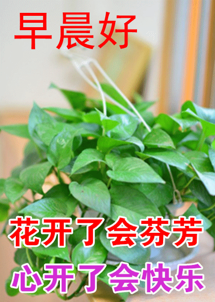 8月29日漂亮的早上好动态表情图片大全,最新早上好语