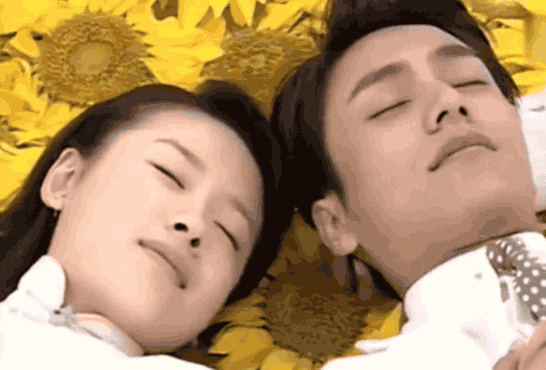 恋爱脑董洁的前尘往事我们都错怪她了