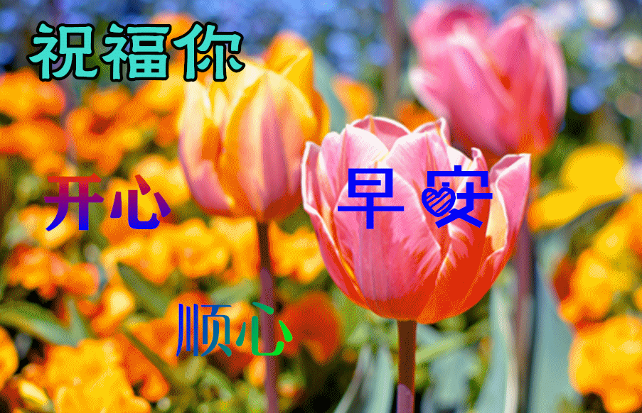 周一早晨好动态图片问候祝福大全 周五到了早上好问候