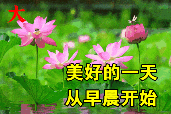 8月22日最新早上好动态表情图片大全,早上好问候语句子!