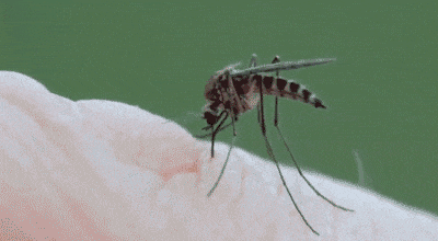 Ŷݼв_ݺʱ֮صݼ_ݼشҪּȫ