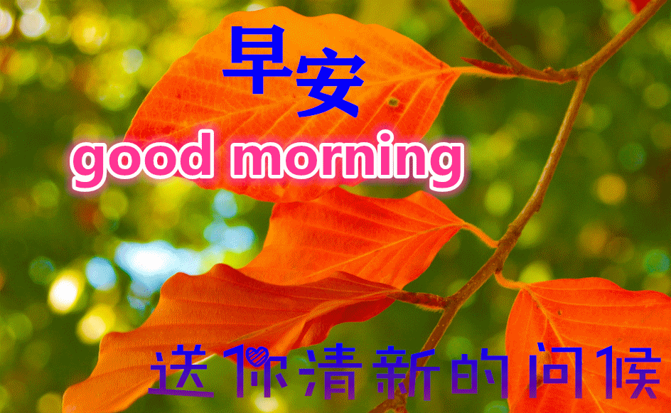 8张精选早上好动态图片大全秋天早晨好美图大全