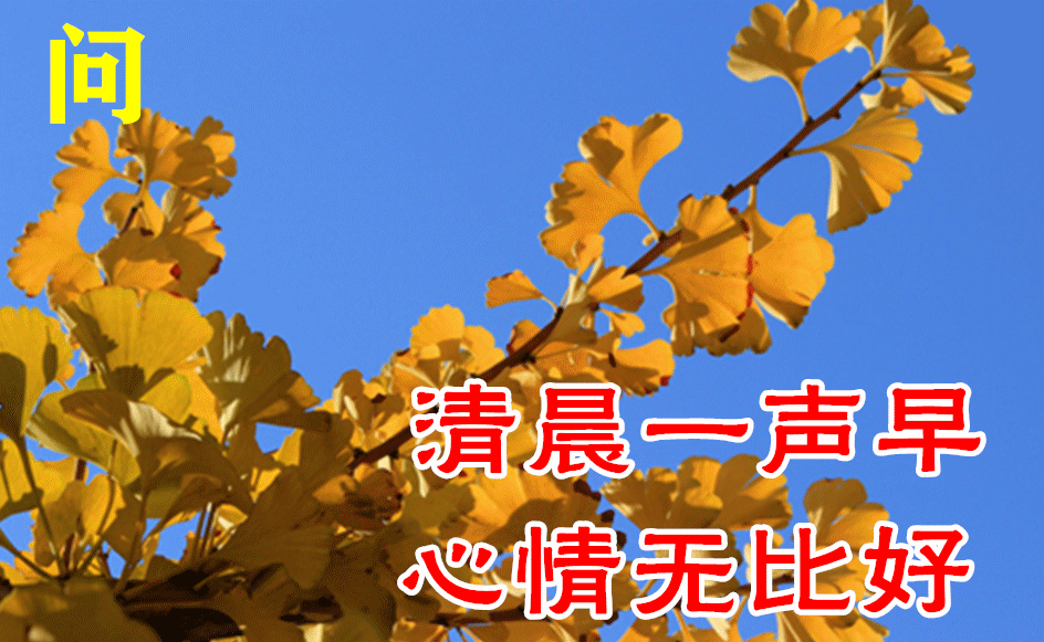 8张精选早上好动态图片大全秋天早晨好美图大全