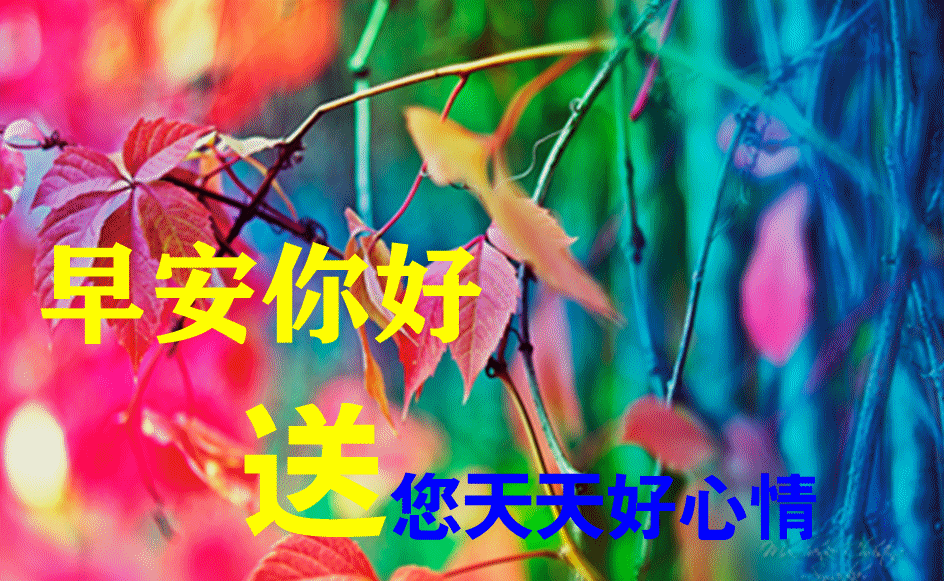 动画表情图片带祝福语 聊天不用打字的秋日清晨早安问候动态风景图片